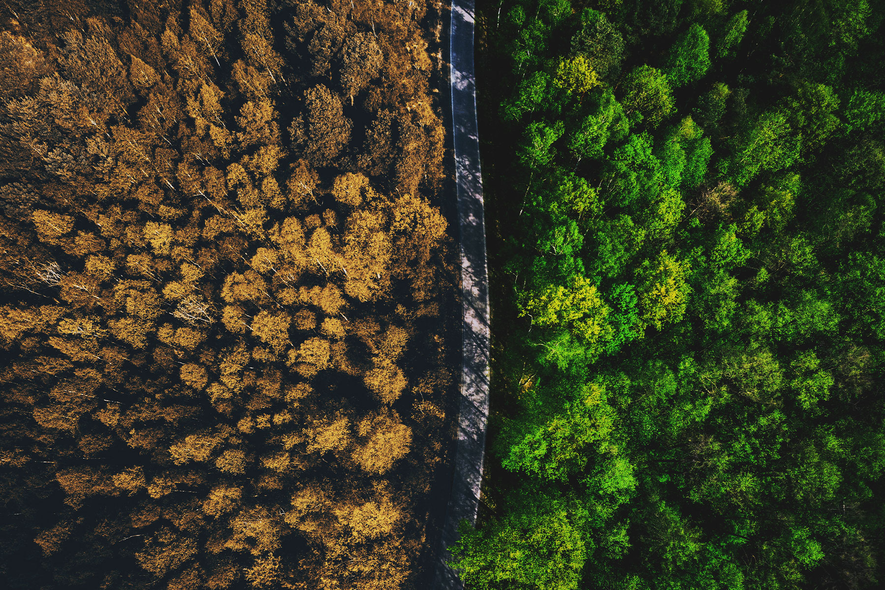 Why Purchases Still Matters In A Streaming World